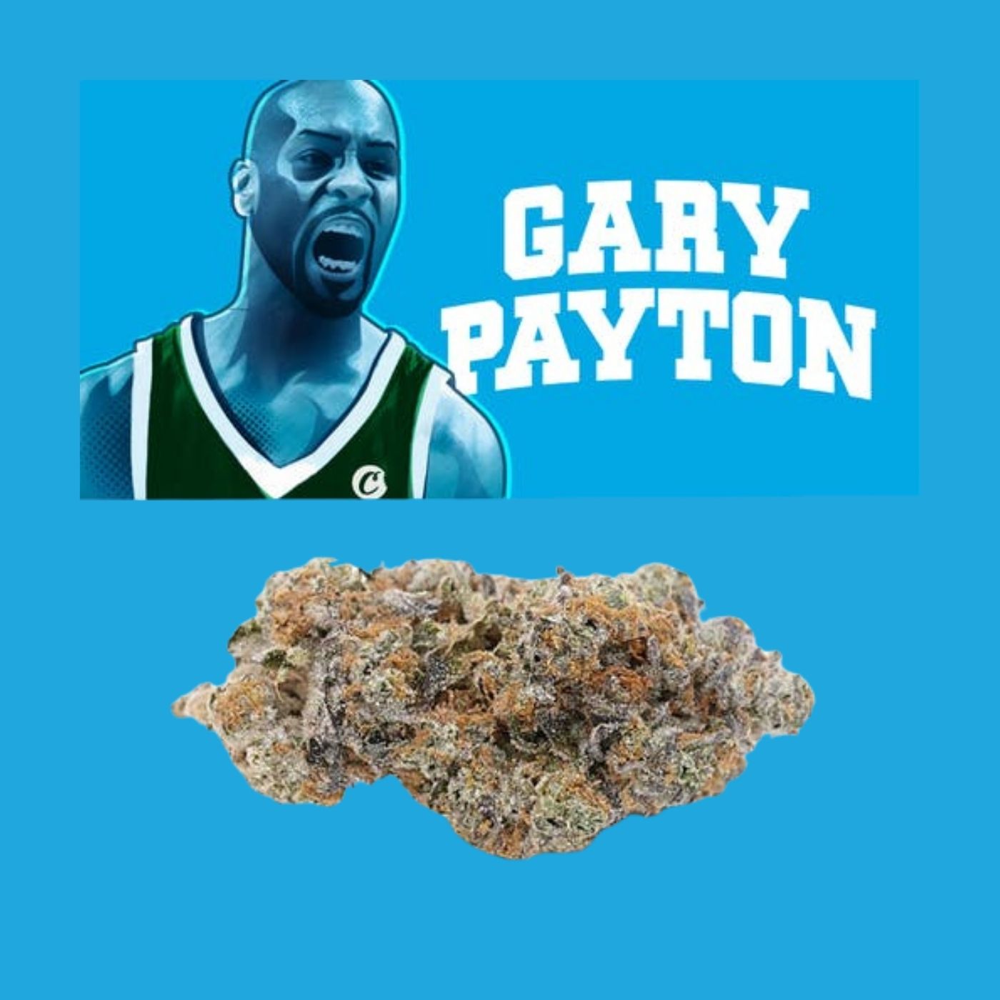 Photograph of product: Cookies | Gary Payton - 3.5g