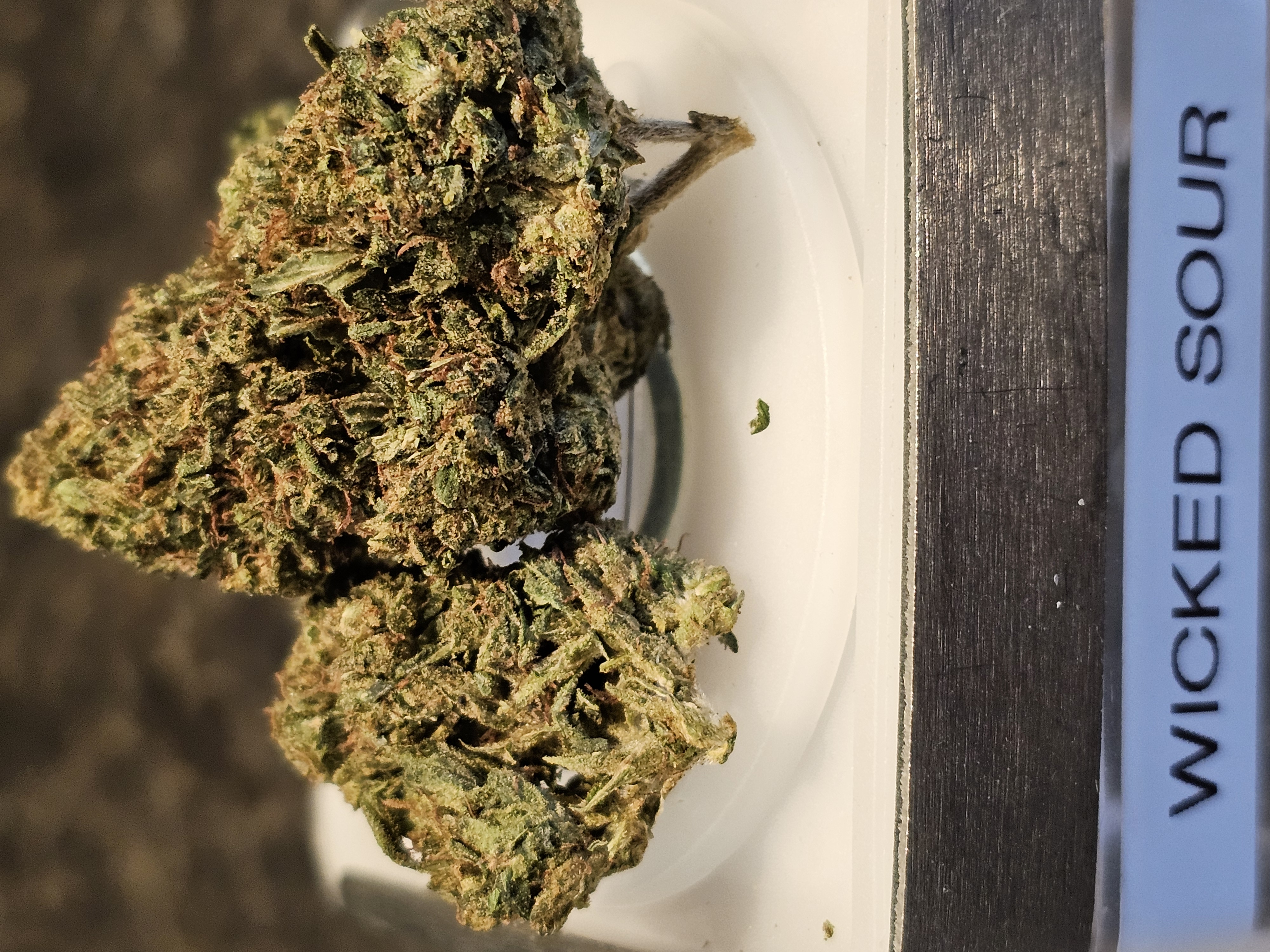 Photograph of product: Wicked Sour | 1G