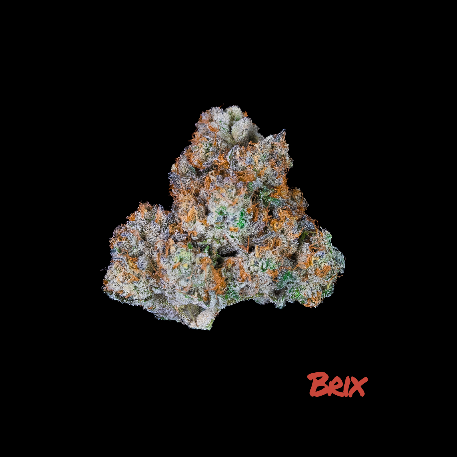 Photograph of product: Gush Mintz Flower 3.5g T27.64% I C0101000186