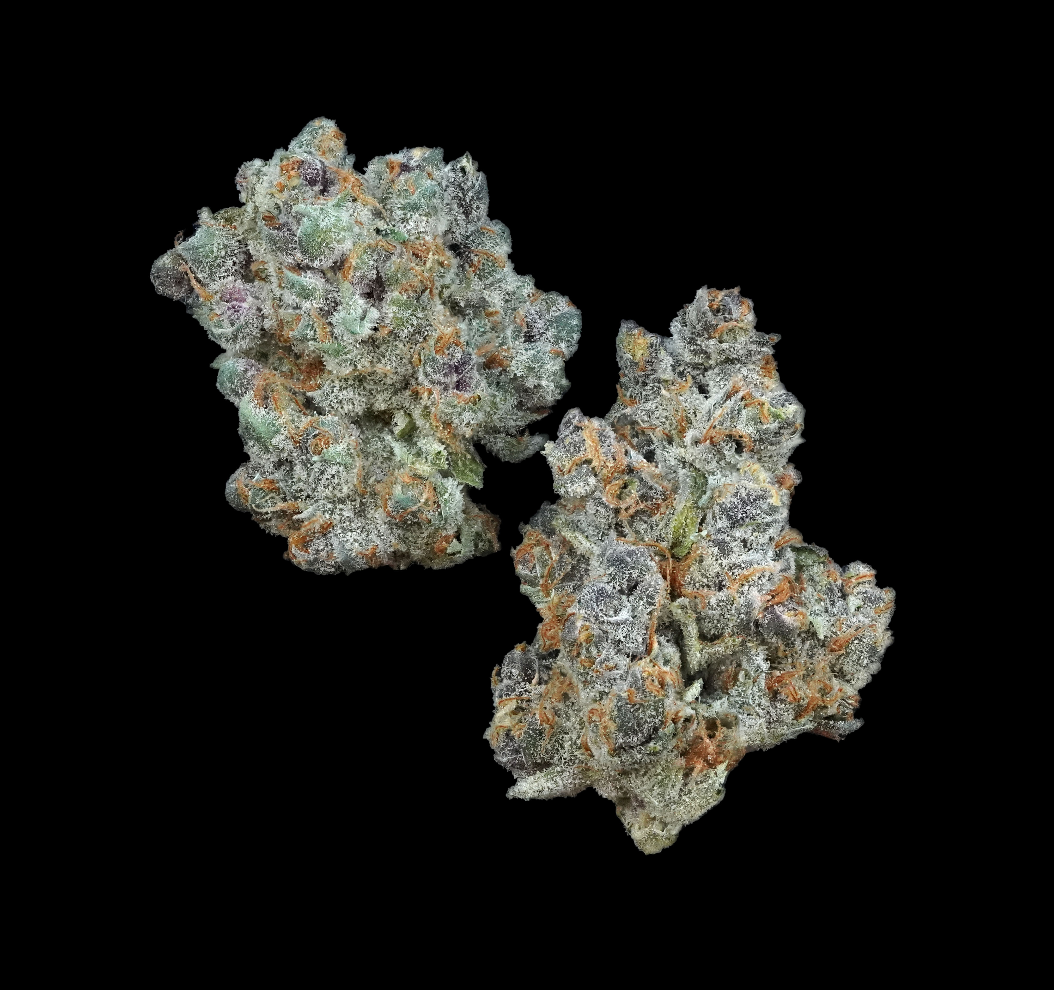 Photograph of product: (BULK) Tropic Truffle - Oui'd - 28g