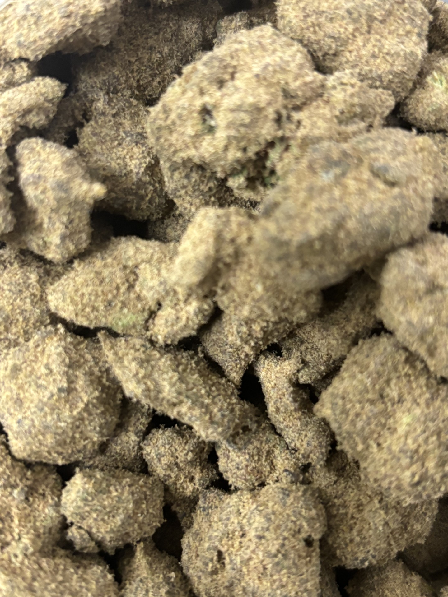 Photograph of product: Guurock- Gold Caviar 72%