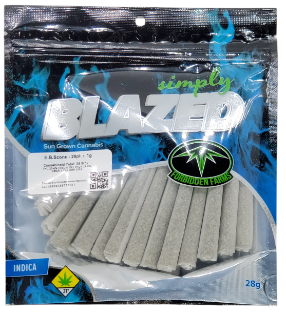 Photograph of product: Blazed PR Blueberry Scone 28 x 1g