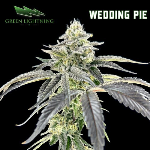 Photograph of product: Green Lightning Wedding Pie Mixed Buds - 3.5g