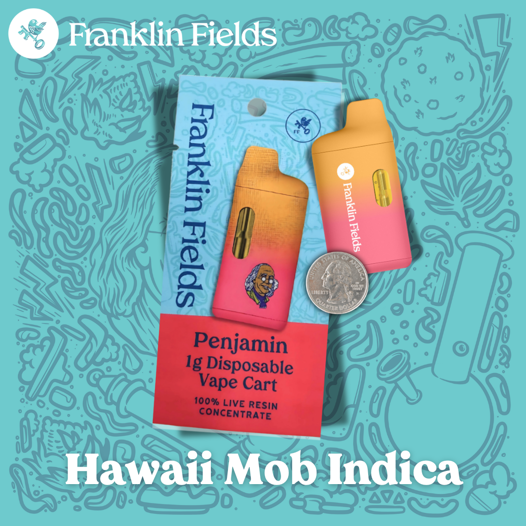 Photograph of product: Franklin Fields Disposable Live Resin Oui'd 1g Northern Lights