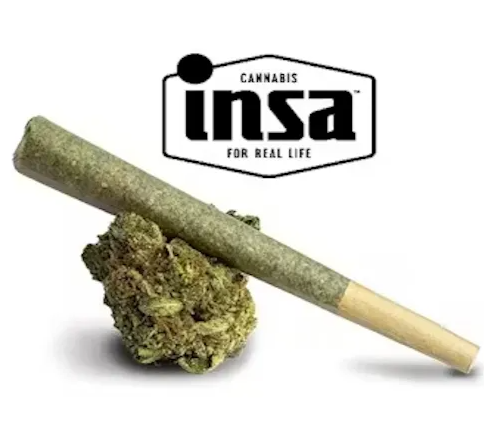 Photograph of product: Bad Habit - Pre-Roll - 1.0g