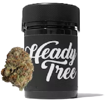 Photograph of product: Heady Tree | 3.5g Flower | Gary Poppins