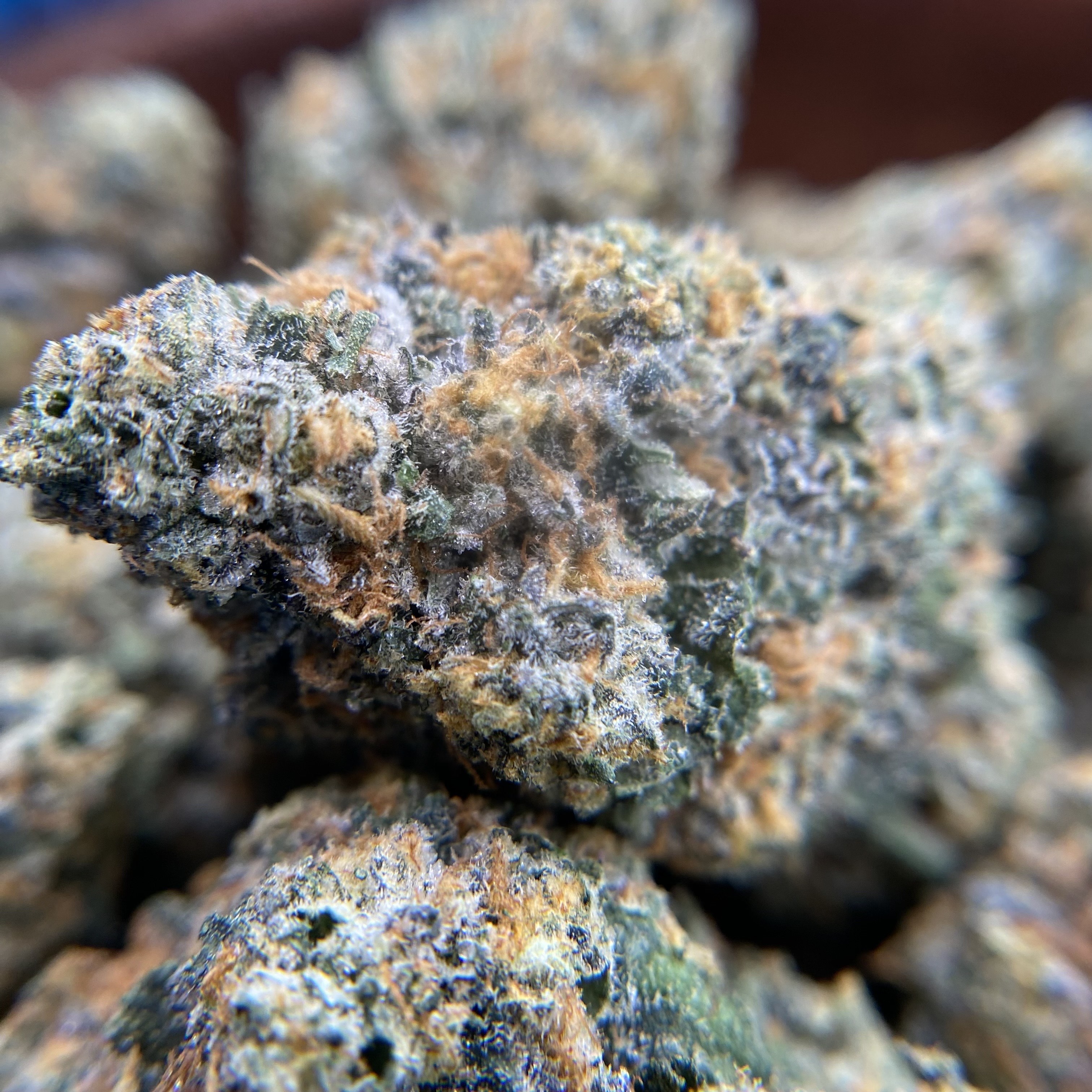 Photograph of product: INDICO: Project Sunset Buds - 28g