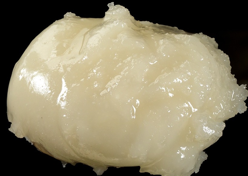 Photograph of product: Purple Cadillac | Live au chocolat Rosin | 1g