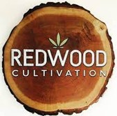 Photograph of product: Gummy Buns - 3.5g