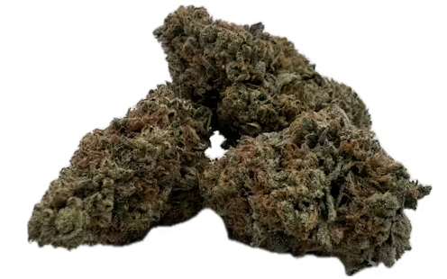 Photograph of product: Rainbow Guava - 3.5g