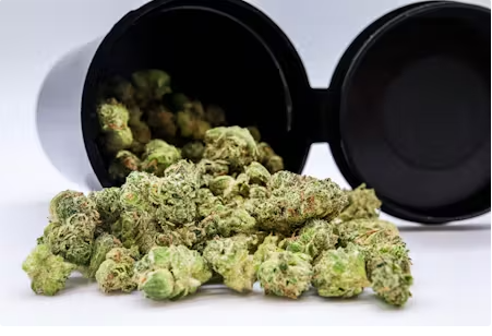 Photograph of product: Space Center (7g Smalls)