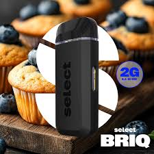 Photograph of product: Select Essentials | Briq Disposable | Blueberry Muffin