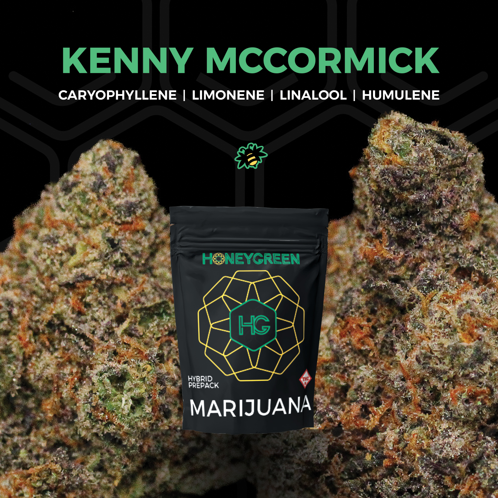 Photograph of product: Kenny McCormick (7g)