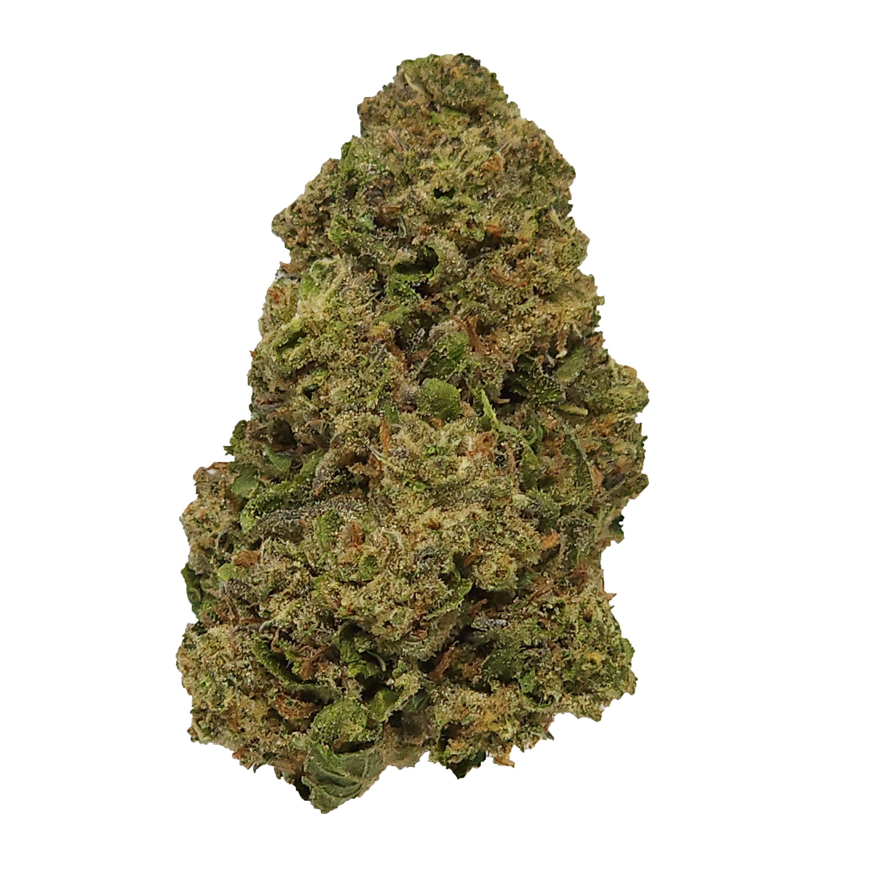 Photograph of product: Apple Fritter Flower 2g SB34 Donation