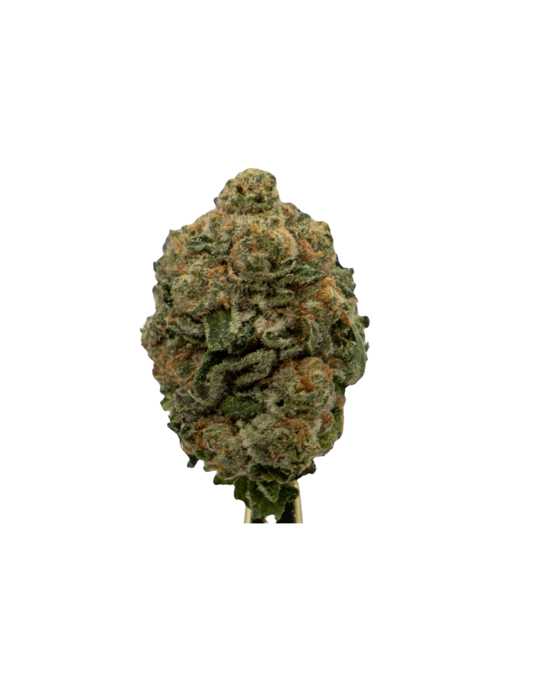 Photograph of product: CLX - Purp. P - 3.7g
