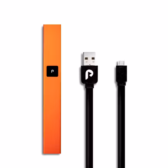 Photograph of product: Play Orange Steel Battery
