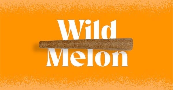 Photograph of product: Doinks | 1g Infused Blunt | Green Apple