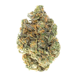 Photograph of Product: Gushers X Gelato 41 #17
