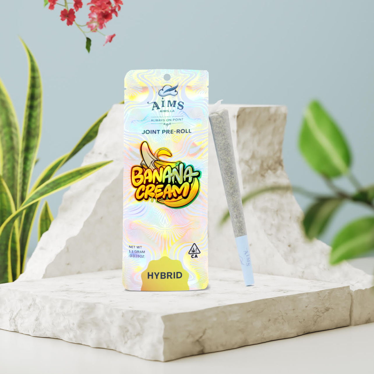 Photograph of product: Banana Cream