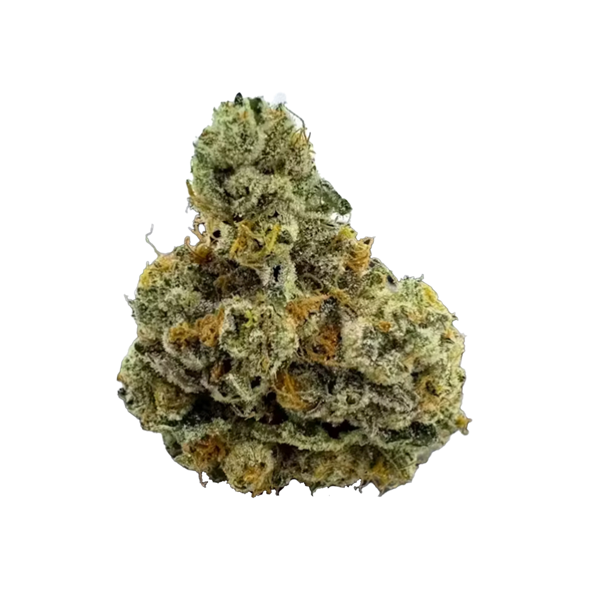 Photograph of product: Grandpa's Cookies | 3.5g Bag | Magic Mann