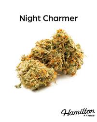 Photograph of product: Hamilton Farms Night Charmer 3.5g
