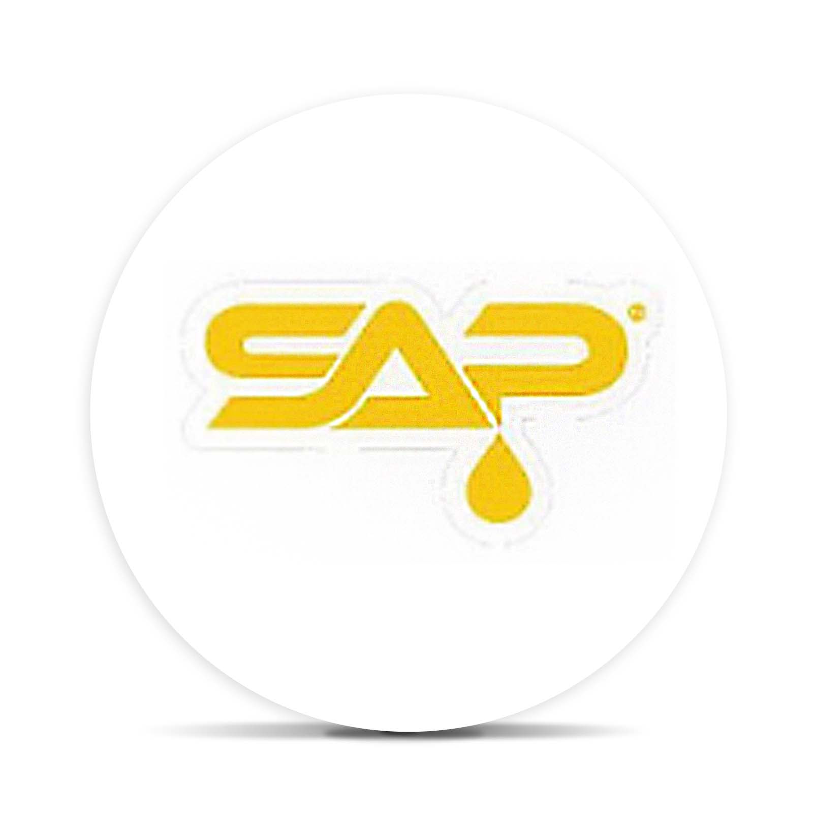Logo for img-fluid: Sap