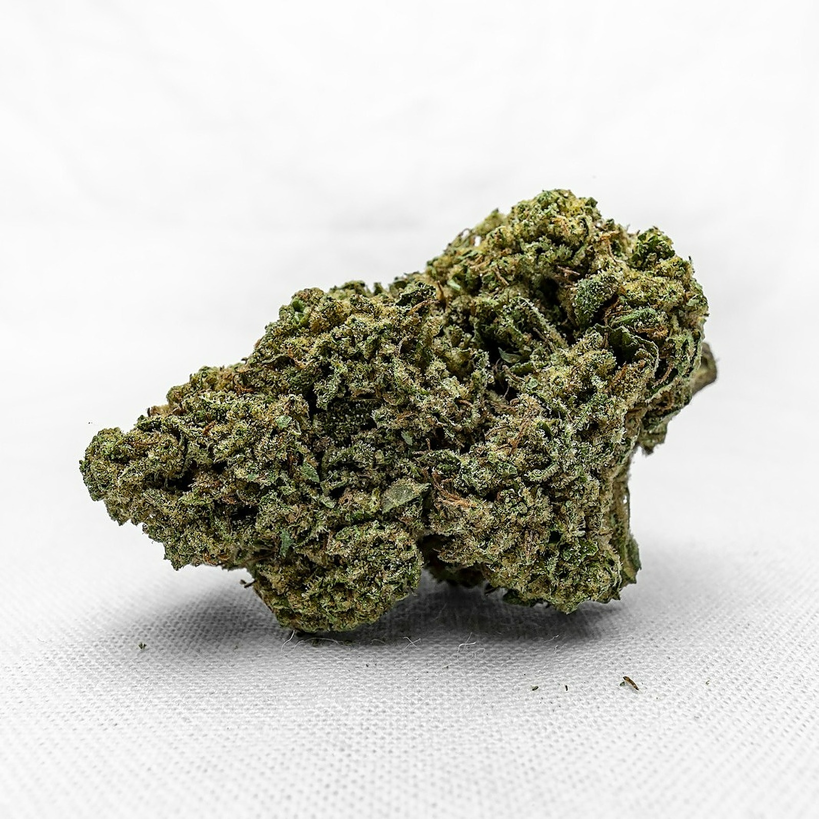 Photograph of product: Pav - 1g