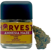 Photograph of product: Amnesia Haze - (3.5g)