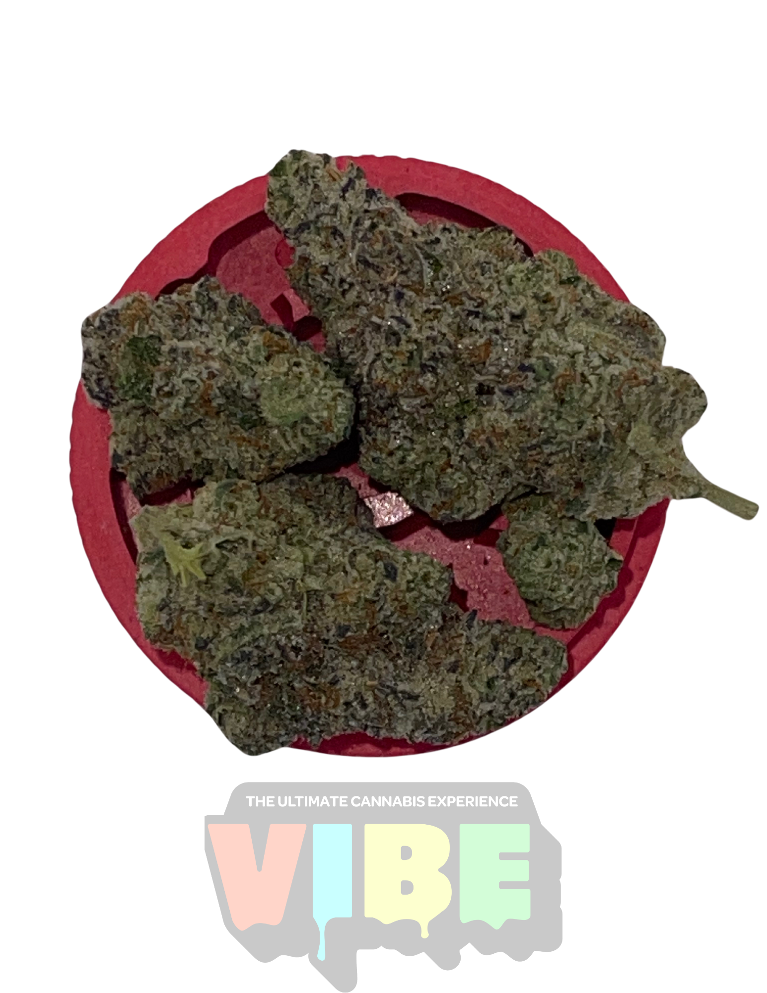 Photograph of product: Bacio x Biscotti | Bulk Flower | REC - 28g