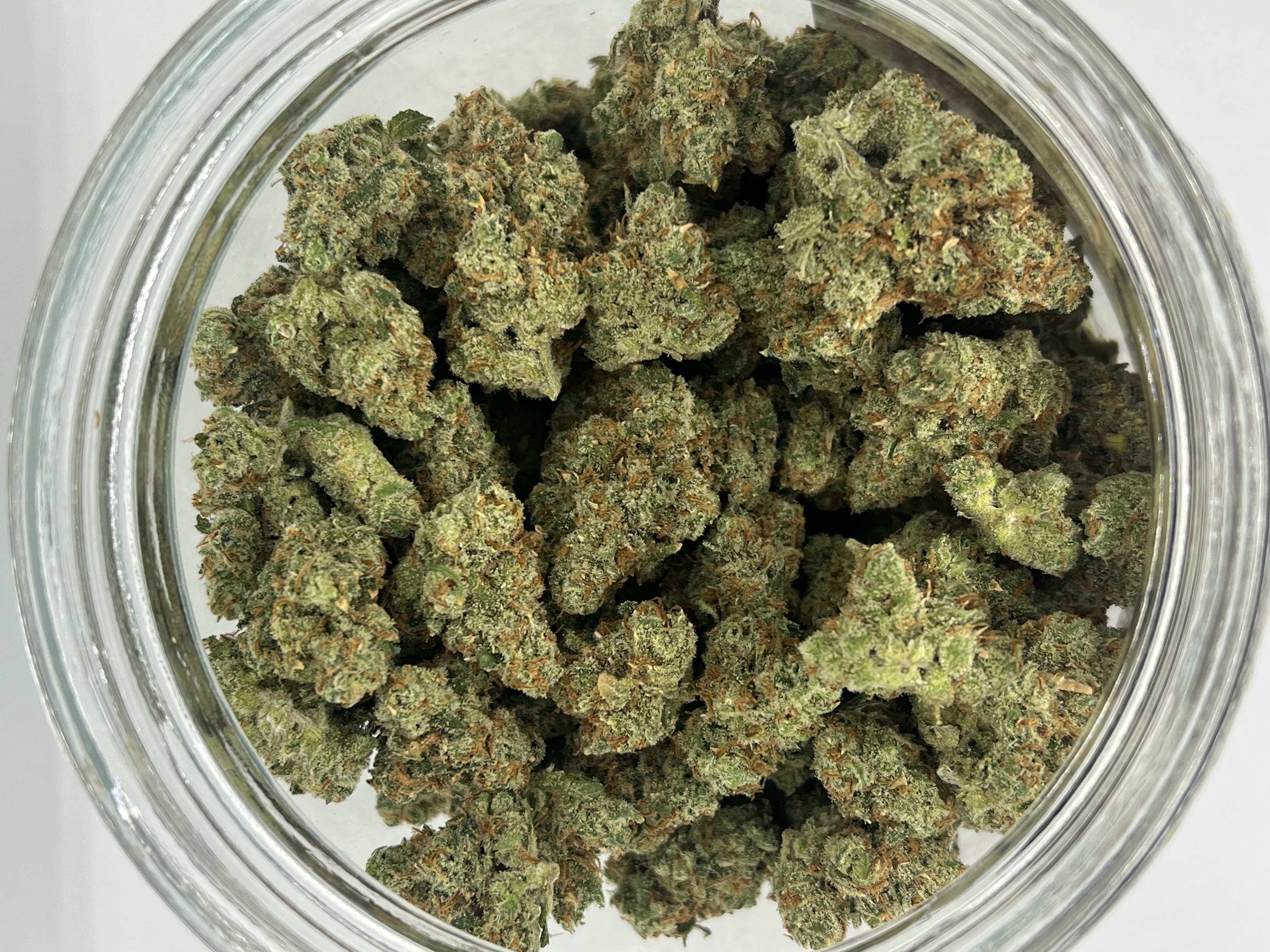 Photograph of product: Jack Herer - Silver Lining | Harvested: 12/05/2024 - 28g