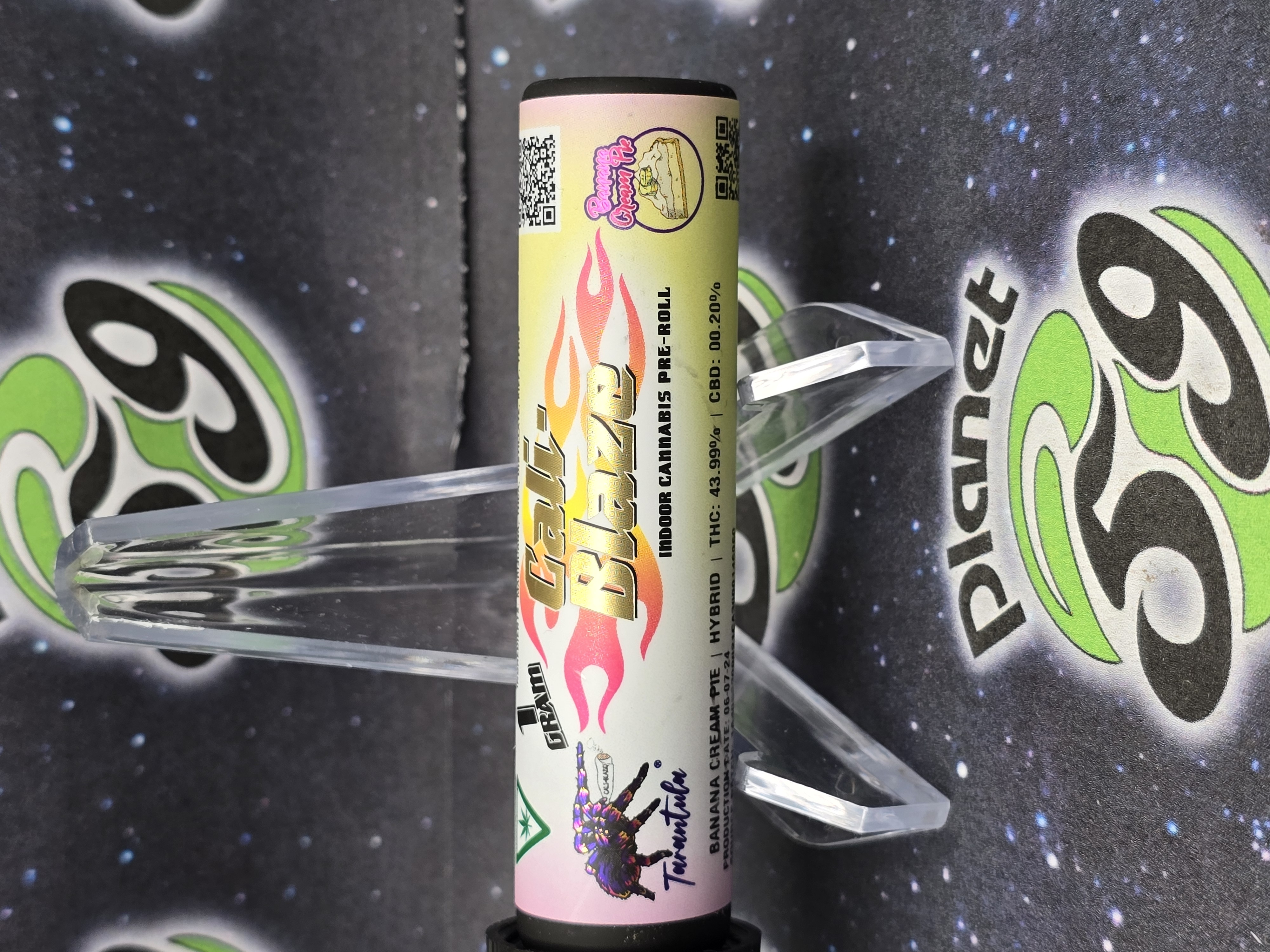 Photograph of product: Cali Blaze | Banana Cream Pie | 1g Infused Preroll Tarantula