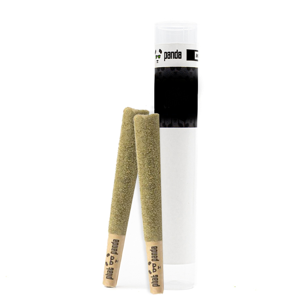 Photograph of product: Berry Gelato Infused Sparkler Pre-Roll 2-pack | 1g (DOH)