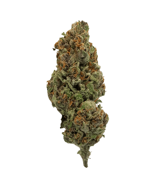 Photograph of product: Clones - Blood Orange Tangie