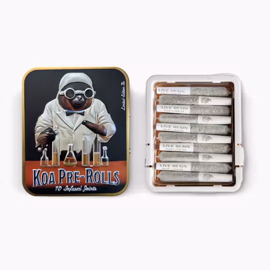 Photograph of product: KOA: Blackberry Dream 10pk Infused Prerolls