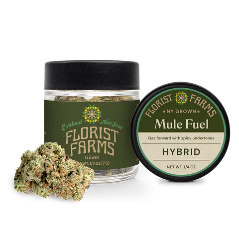 Photograph of product: Florist Farms Mule Fuel 3.5g
