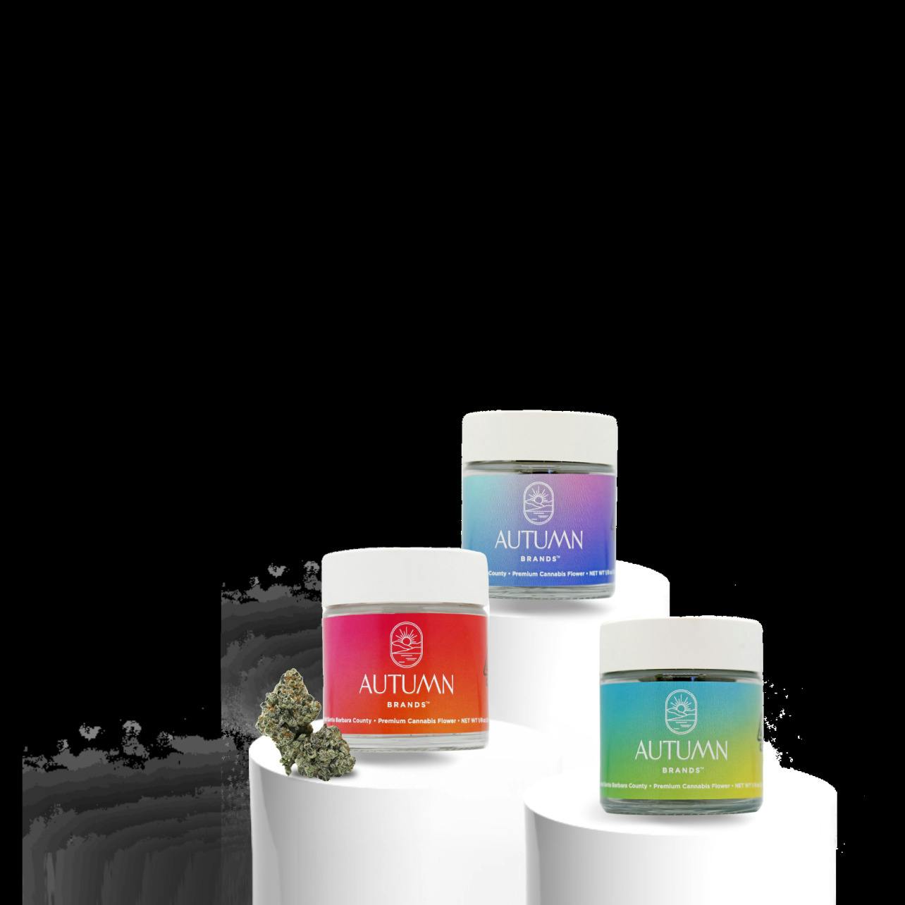 Photograph of product: Daytrippin
