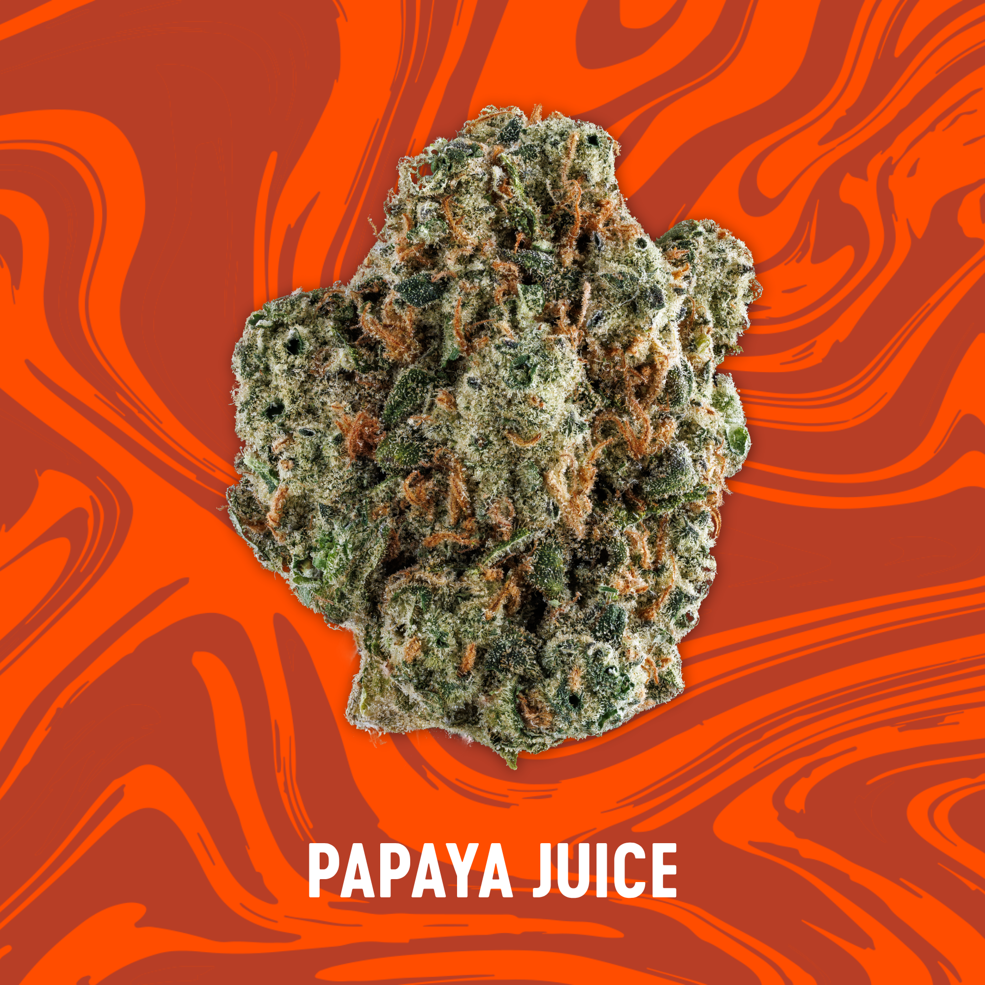 Photograph of product: Vivid - NEW DROP - Papaya Juice - Deli Popcorn - 84g