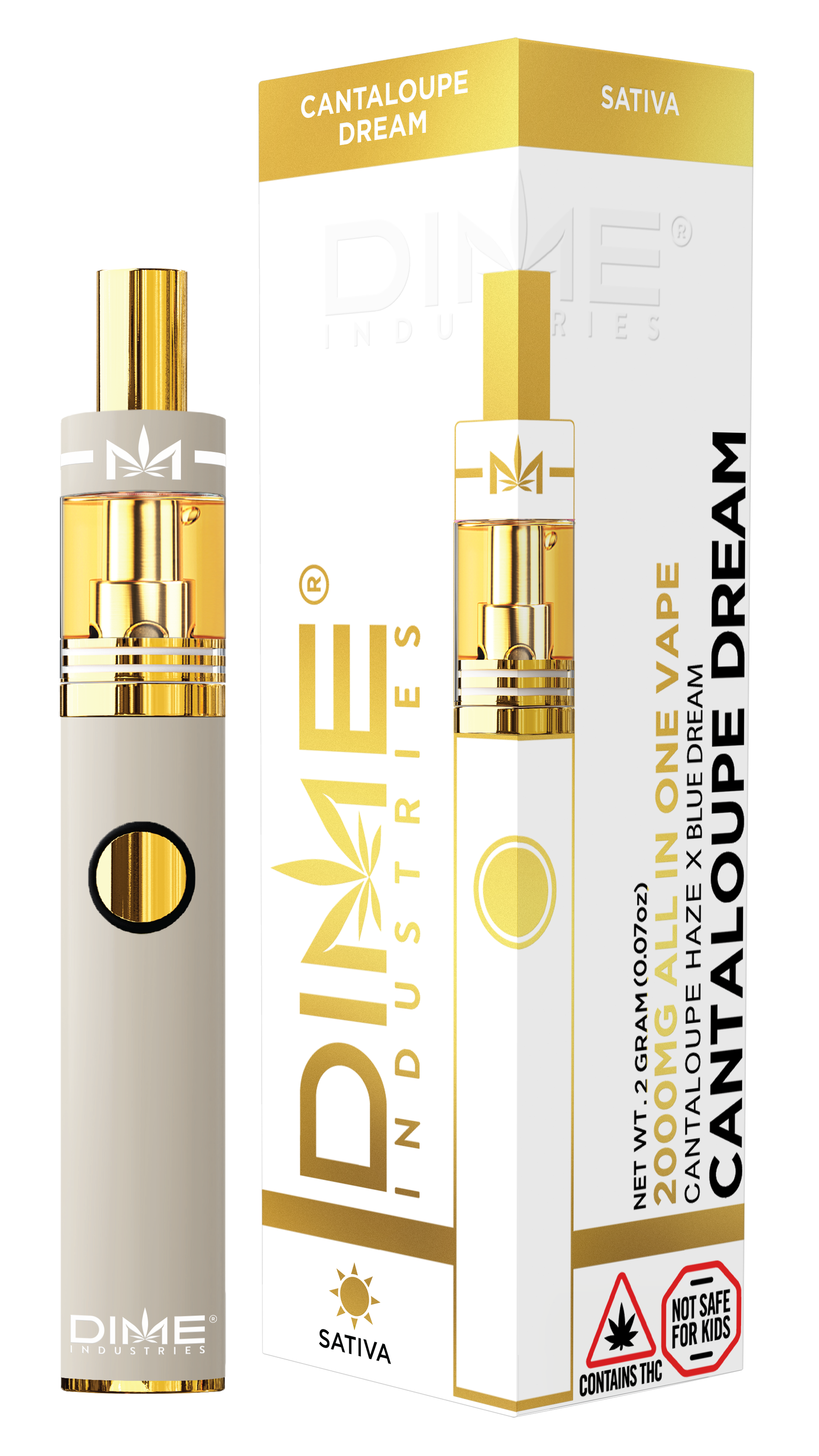 Photograph of product: Cantaloupe Dream Disposable | 2g