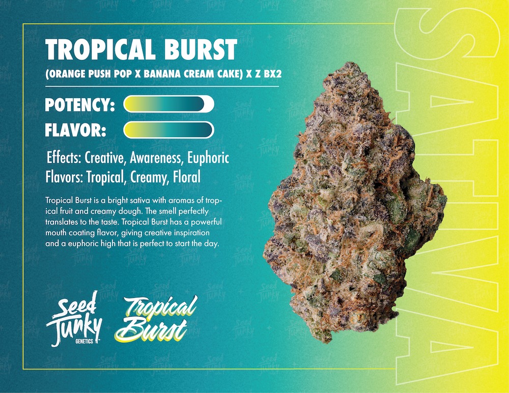 Photograph of product: Seed Junky - Tropical Burst Pre-Pack - 3.5g