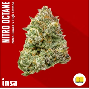 Photograph of product: Nitro Octane | 3.5g