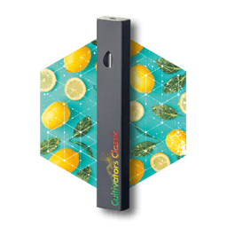 Photograph of product: Lemon Slushie | Disposable | Vape | 1g