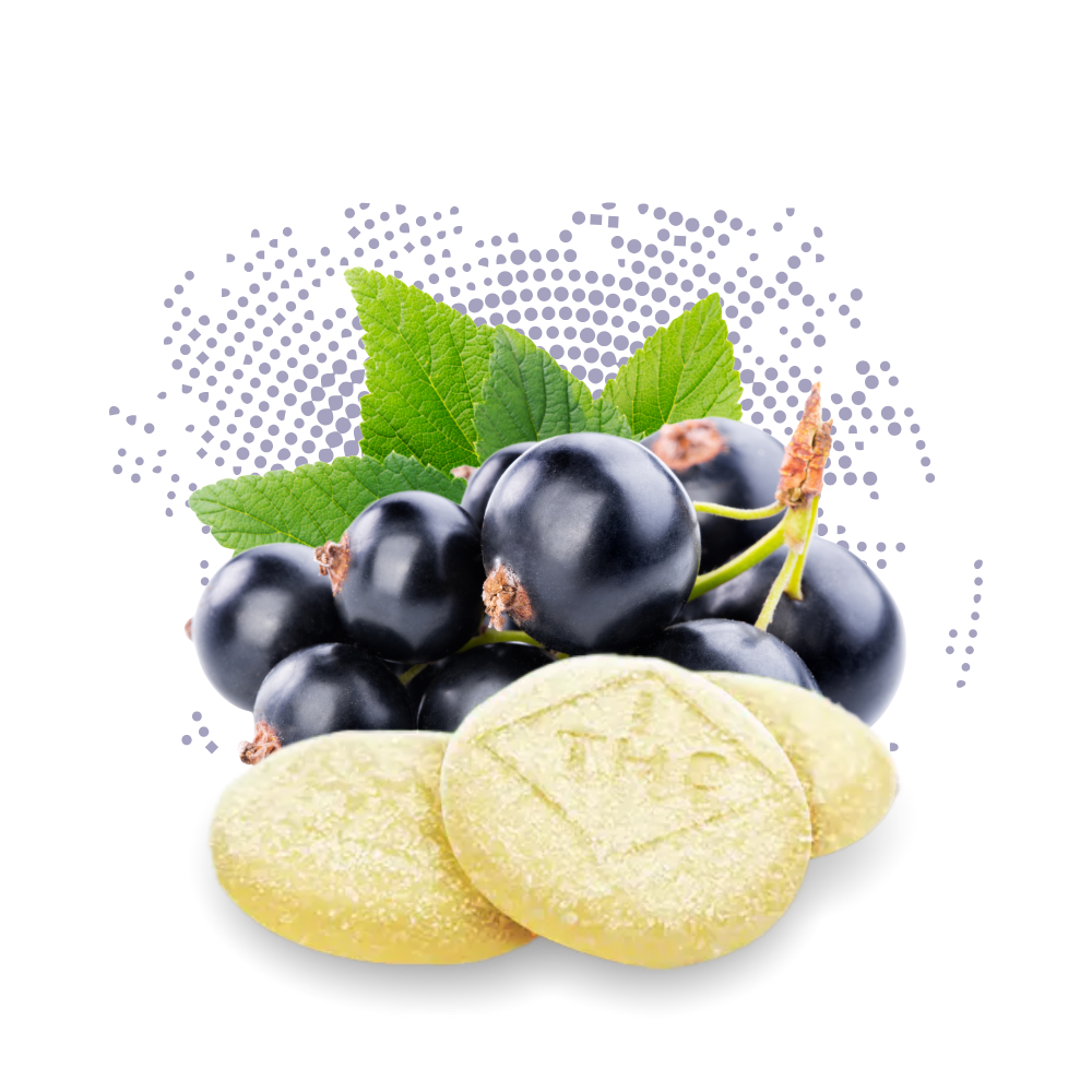 Photograph of product: Sour Black Currant - C-Bite - 100mg - 10ct
