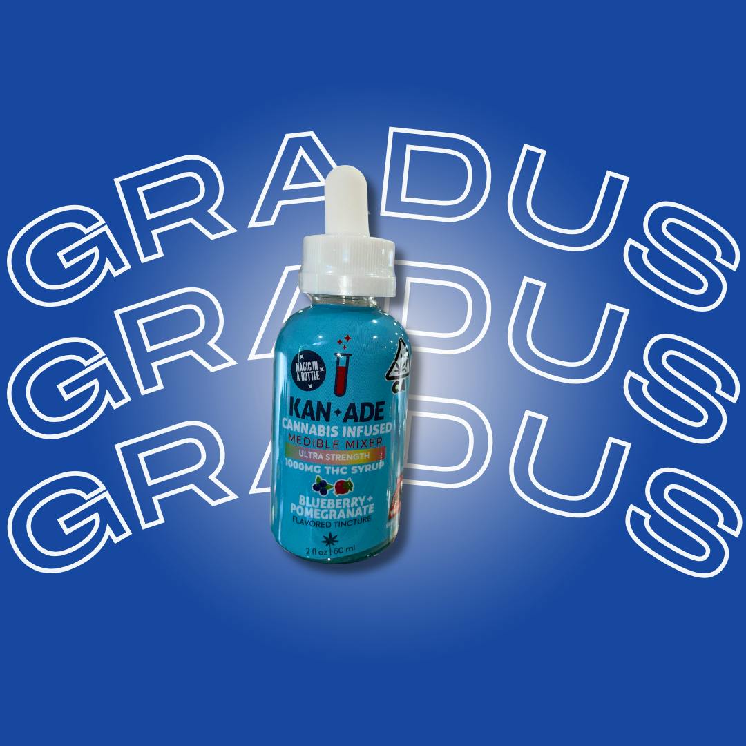 Photograph of product: Kan+ade | Blueberry Pomegranate