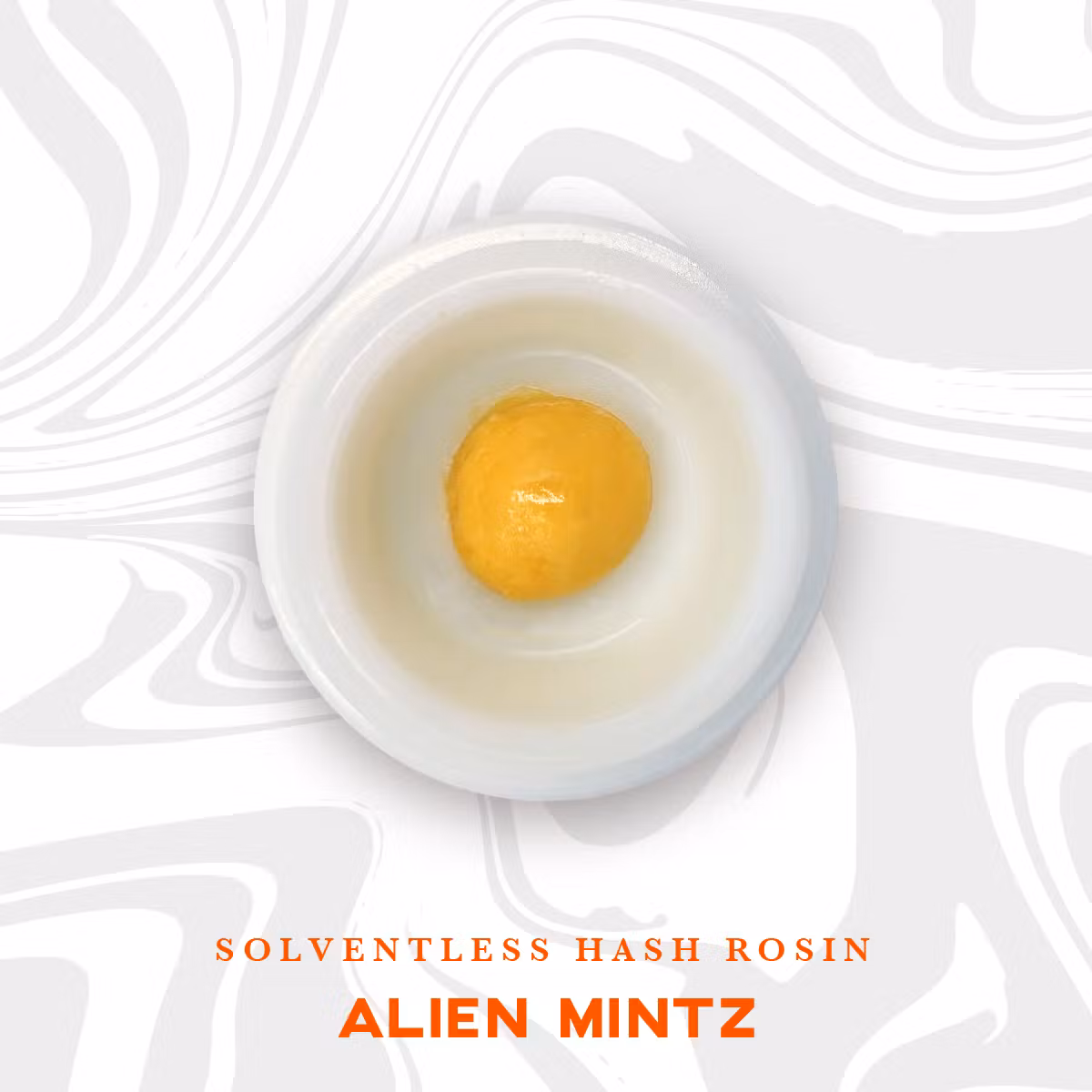 Photograph of product: VIVID - ROSIN LIVE au chocolat - 1G - ALIEN MINTZ - HYBRID