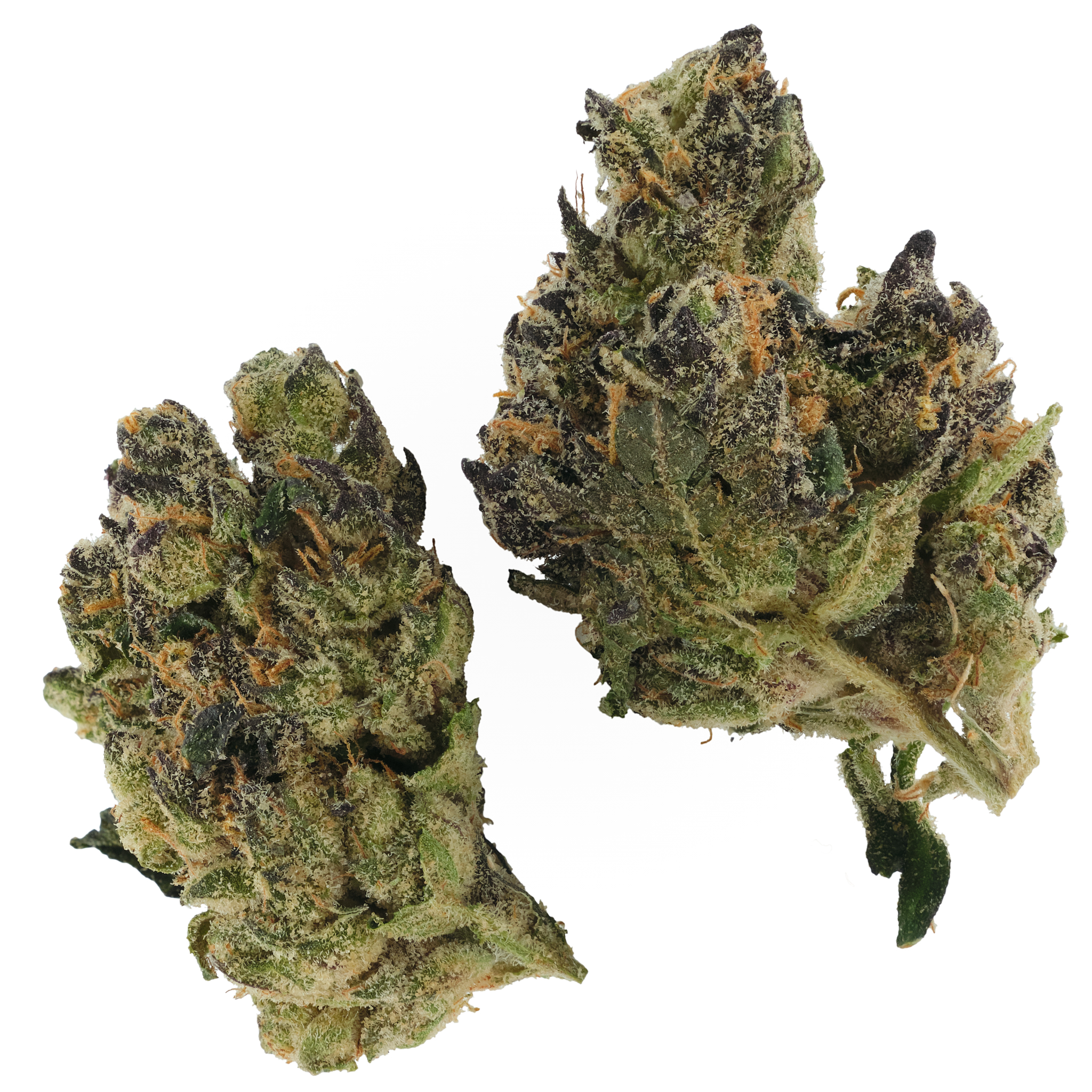 Photograph of product: Gas Face - 28g