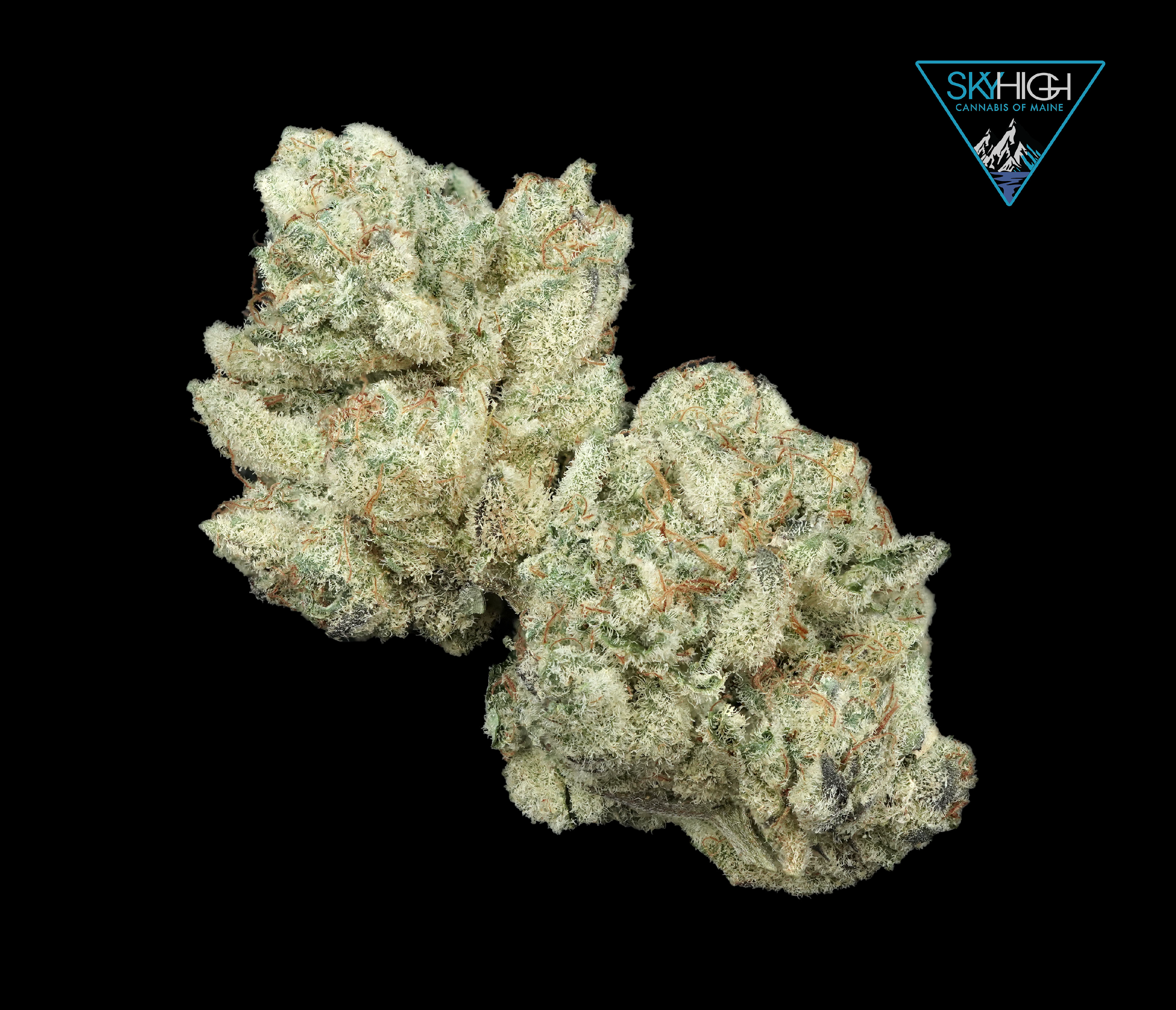 Photograph of product: (BULK) Peach Pie - 28g