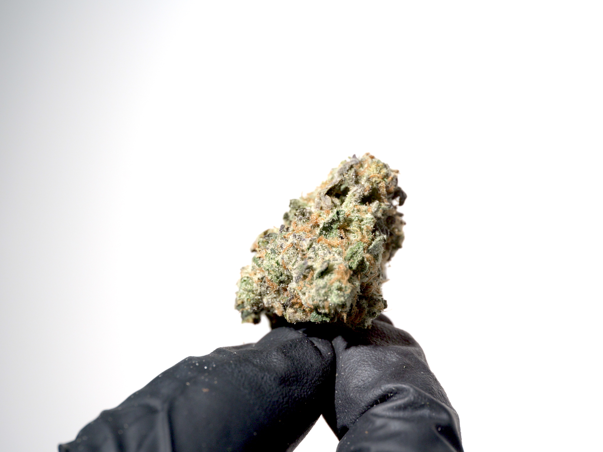 Photograph of product: Pure Bliss Farms - Ooh La La - Flower - Bulk - 28g