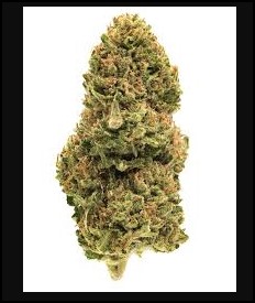 Photograph of product: iion | 3.5g Bud | Dumb Gas (H)