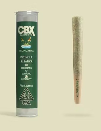 Photograph of product: Tropicana Pre-Rolls Tin