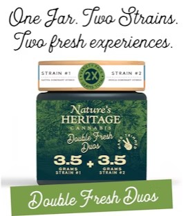 Photograph of product: Governmint Oasis + Orange Biscuits | 7g